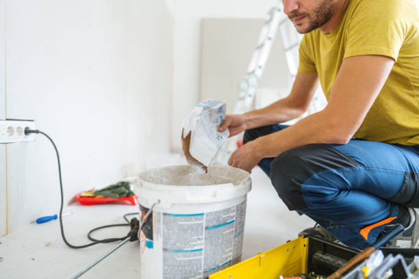 Professional Mold Removal in Siesta Acres, TX
